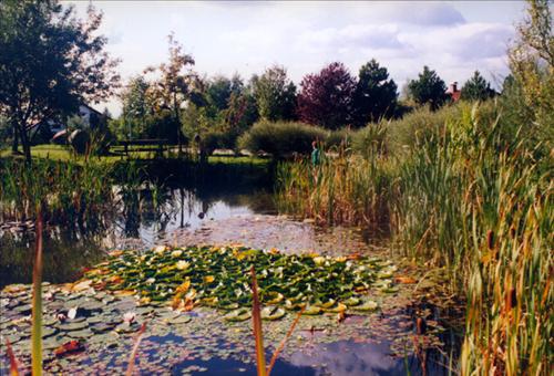 Landhotel Allgaeuer Hof Wolfegg Зручності фото